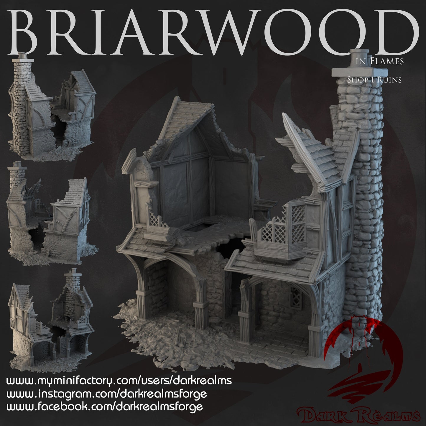 Intricate Fantasy Battle Terrain - Scenery Terrain for Warhammer & D&D, Briarwood Ruins 3