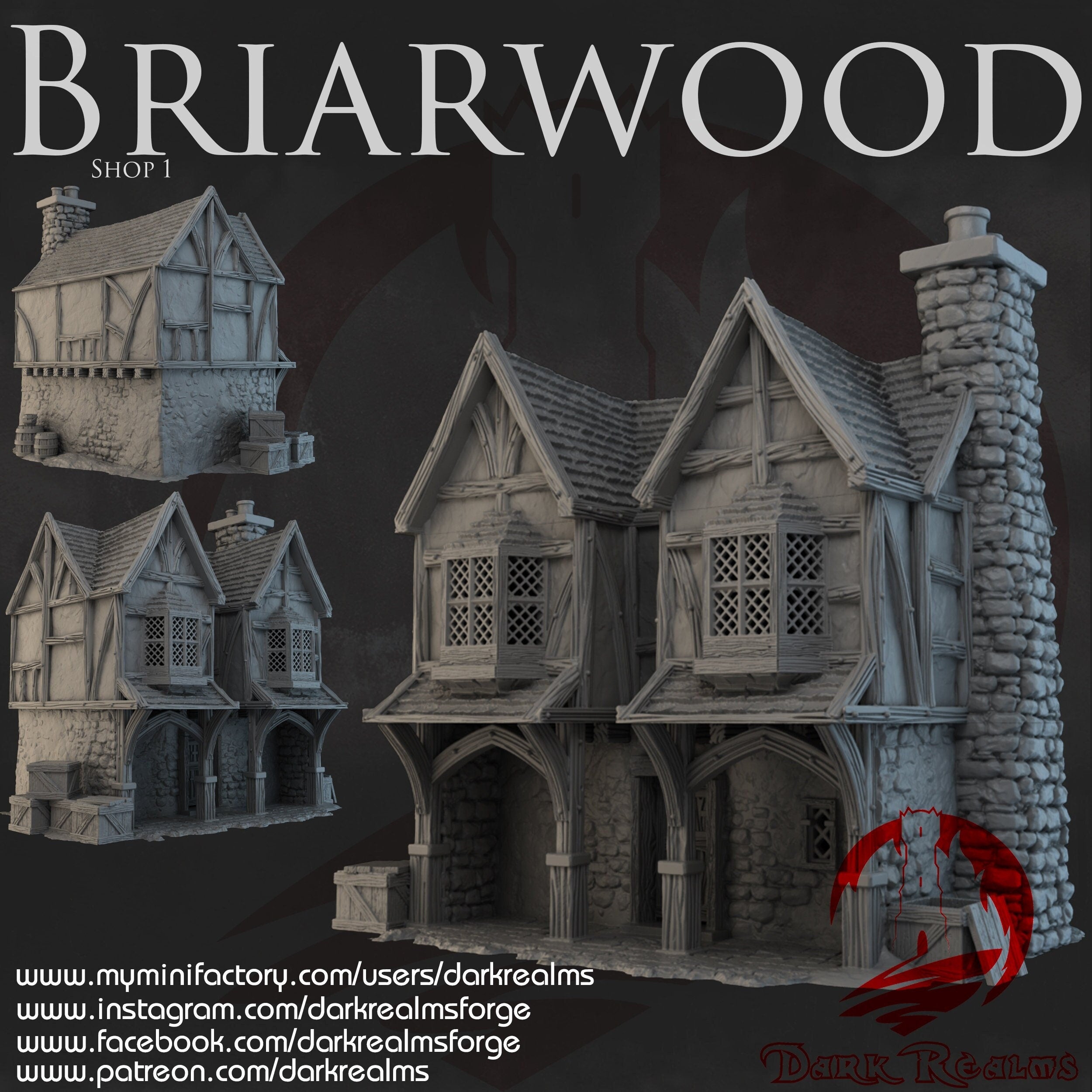 Briarwood Shop 1, Scenery Terrain for Warhammer & D&D Zealot Hobbies