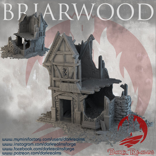 3D Printed Warhammer & D&D Fantasy Battle Ruins - Briarwood Shop 4