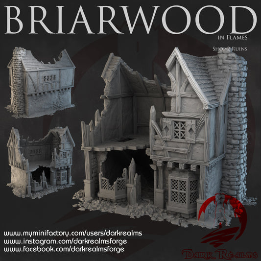 Epic 3D Printed Warhammer & RPG Terrain - Briarwood Shop Ruins 2